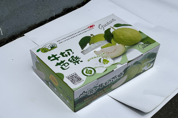 台灣88工商協進會_社頭山腳牛奶芭樂：八卦山孕育的冠軍級鮮甜風味